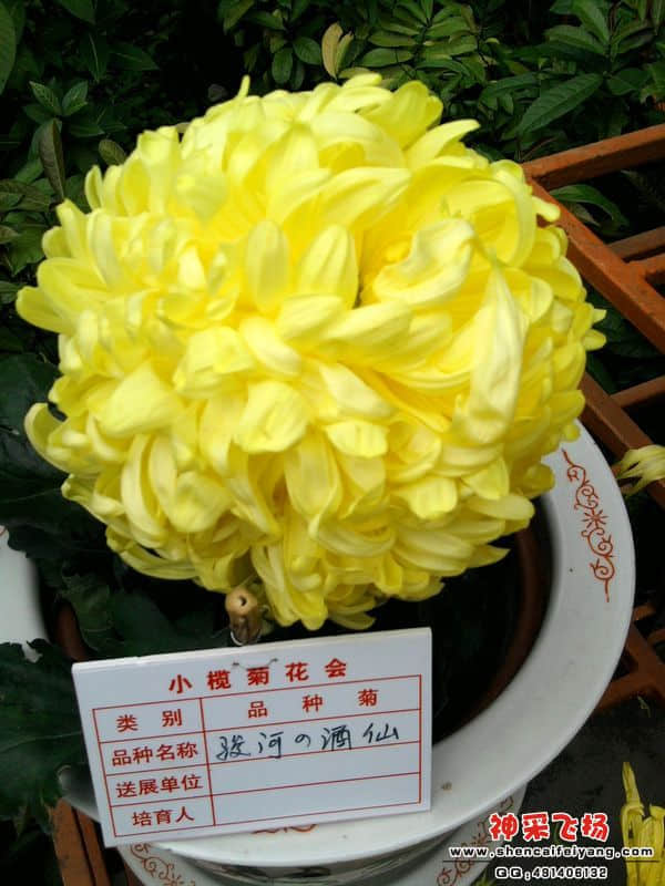 照片069.jpg