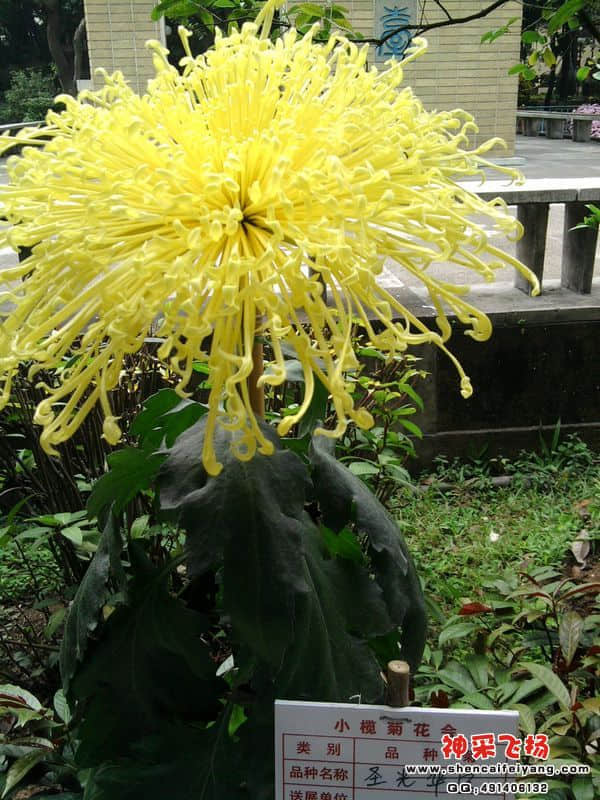 照片070.jpg