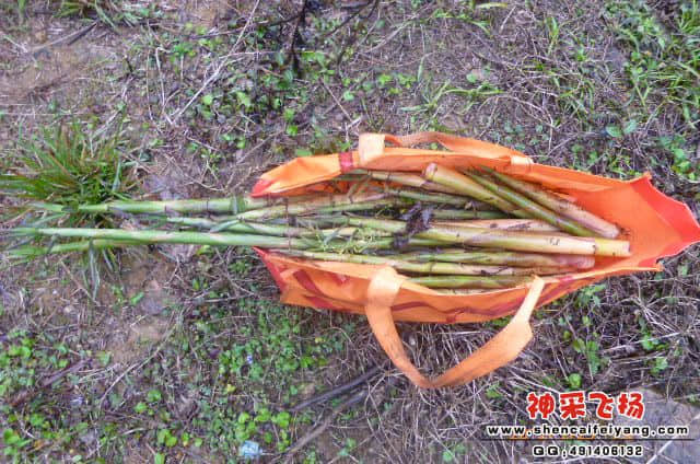 一个多小时就找到百几条了