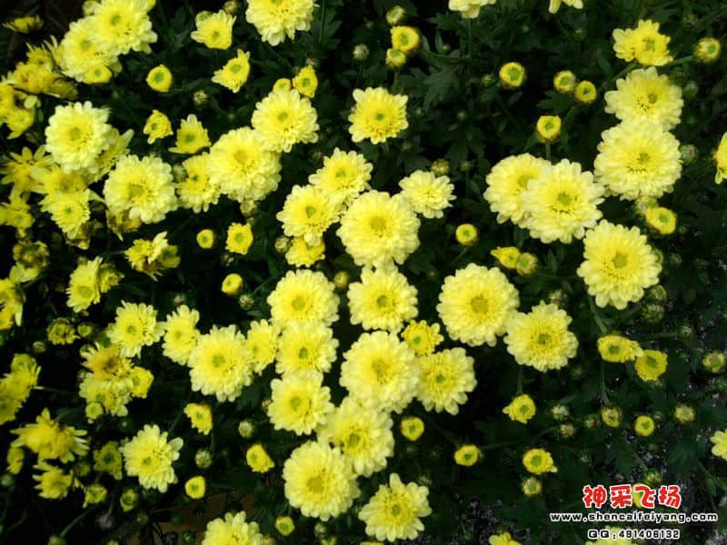 照片010.jpg