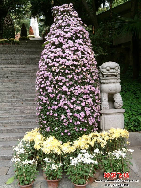 照片016.jpg