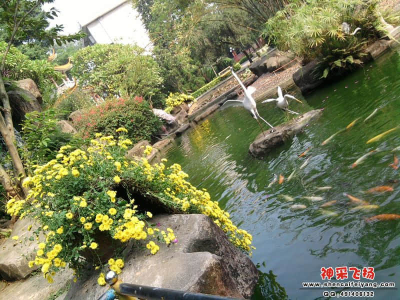 照片017.jpg