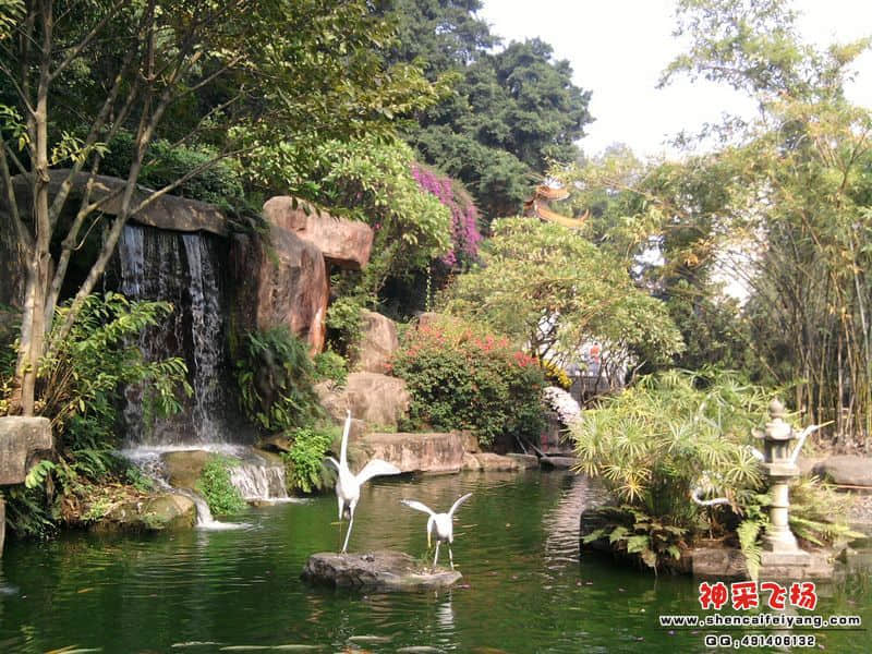 照片019.jpg