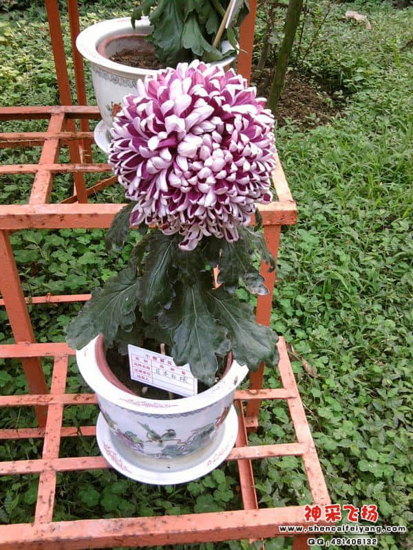 照片022.jpg