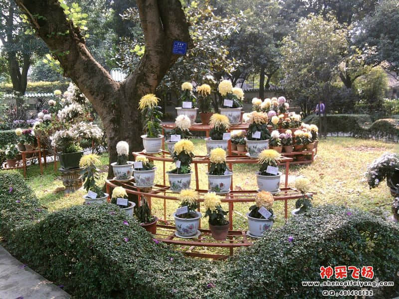照片026.jpg
