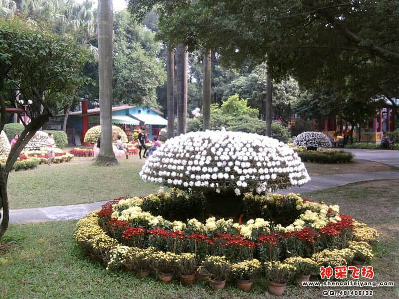照片038.jpg