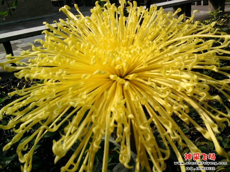 照片041.jpg
