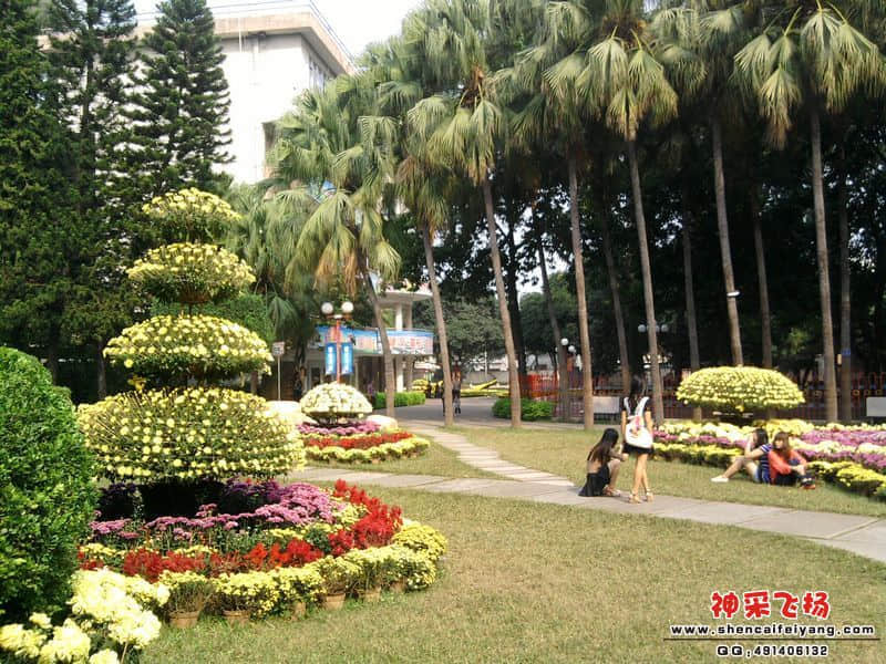 照片042.jpg