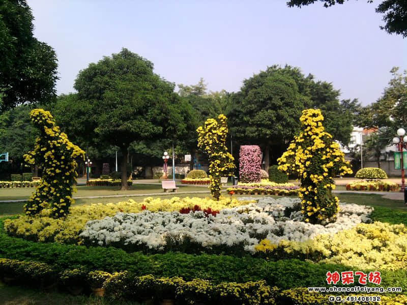 照片046.jpg