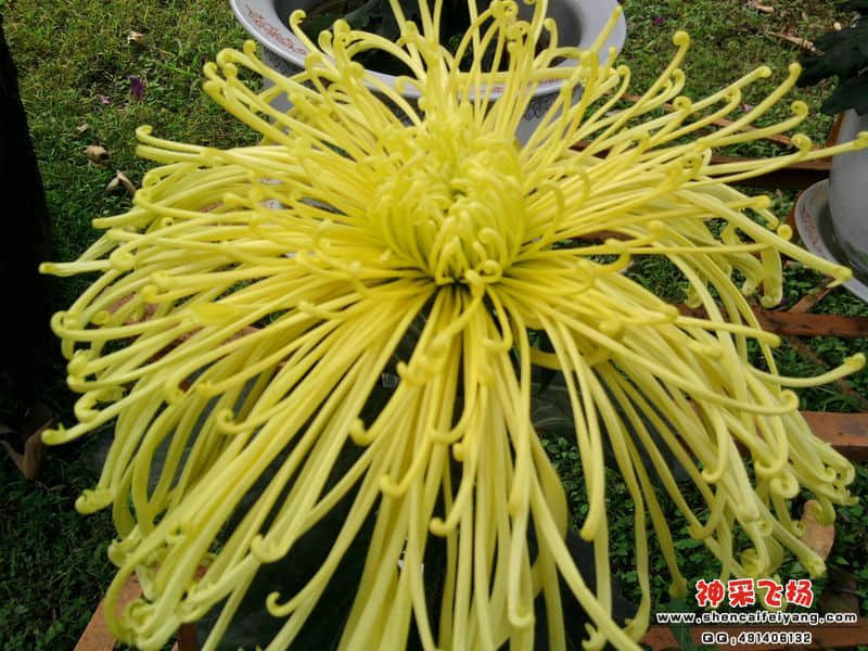 照片062.jpg