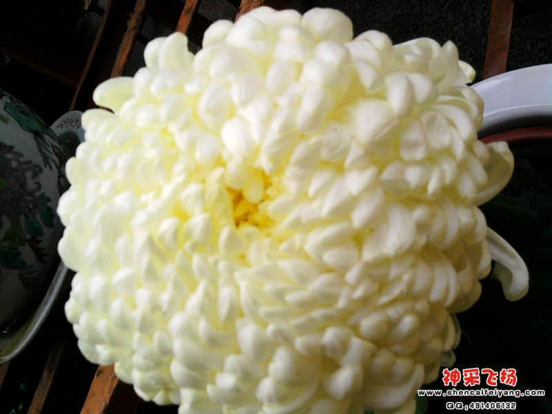 照片063.jpg