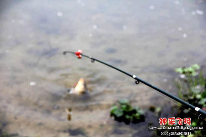 照片 075.jpg