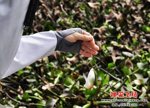 _DSC0629.jpg
