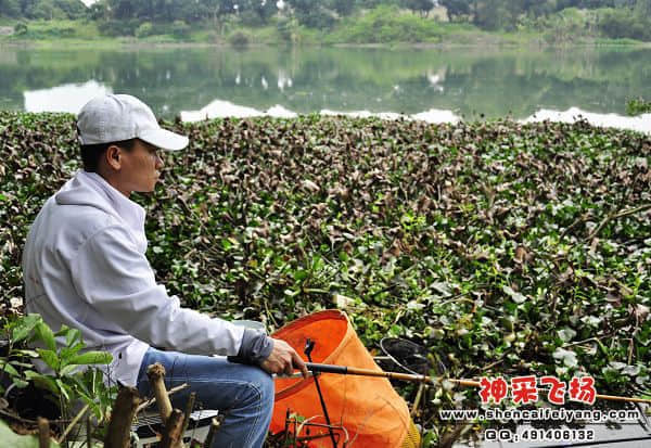 傍晚坐姿.jpg