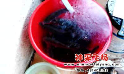 20120318_1821_2.jpg