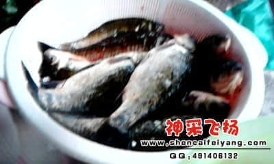 20120318_1829_0.jpg