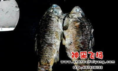 20120318_1906_0.jpg