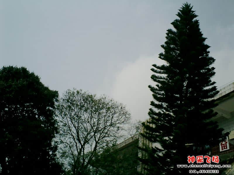 CIMG0036.JPG