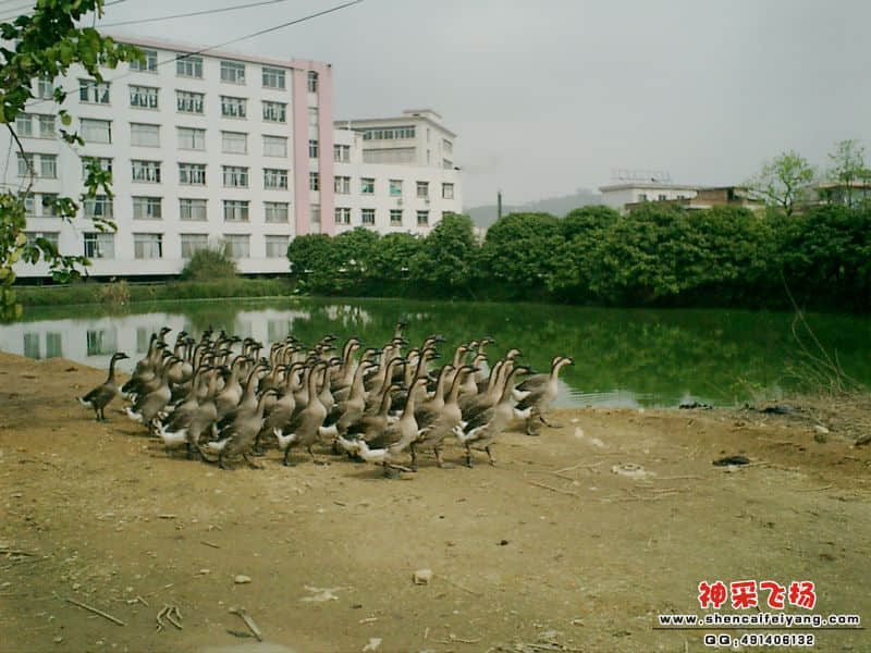 CIMG0029.JPG