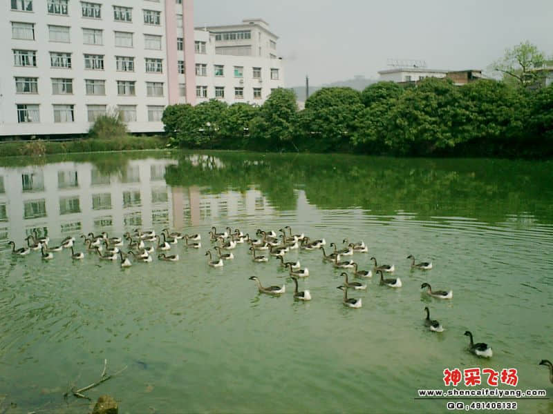 CIMG0032.JPG
