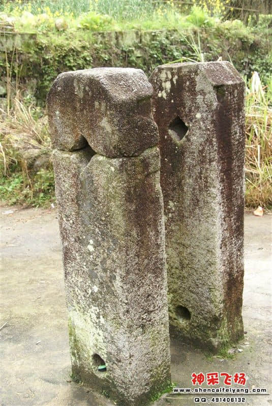 121.jpg