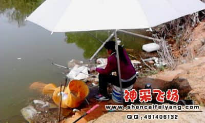 20120325_1326_0.jpg