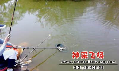 20120325_1328_1.jpg