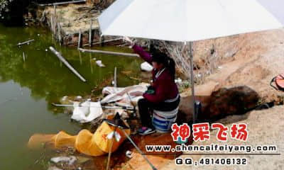 20120325_1329_0.jpg