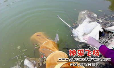 20120325_1341_0.jpg