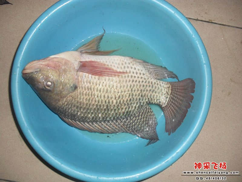 SAM_1267_副本6.jpg