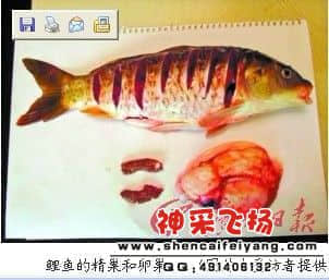 未命名.jpg