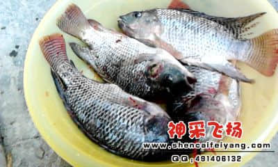 20120402_1755_0.jpg