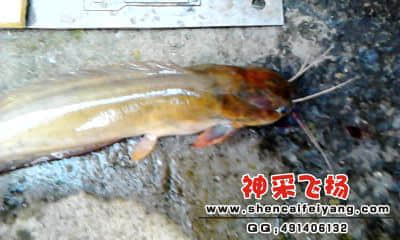 20120402_1755_2.jpg