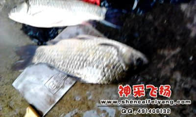 20120402_1756_1.jpg