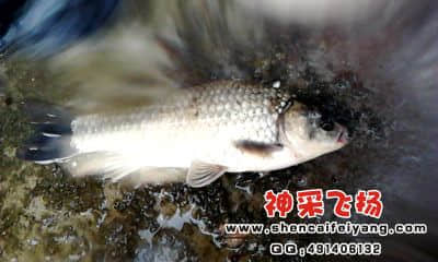20120402_1756_2.jpg