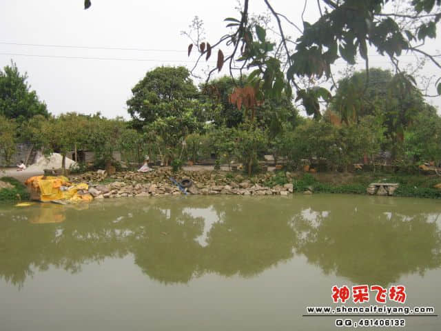 美妙的景致