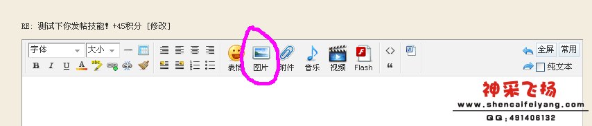 canvas.png