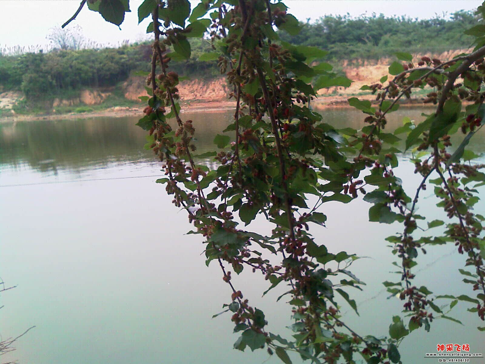 IMAG0300.jpg