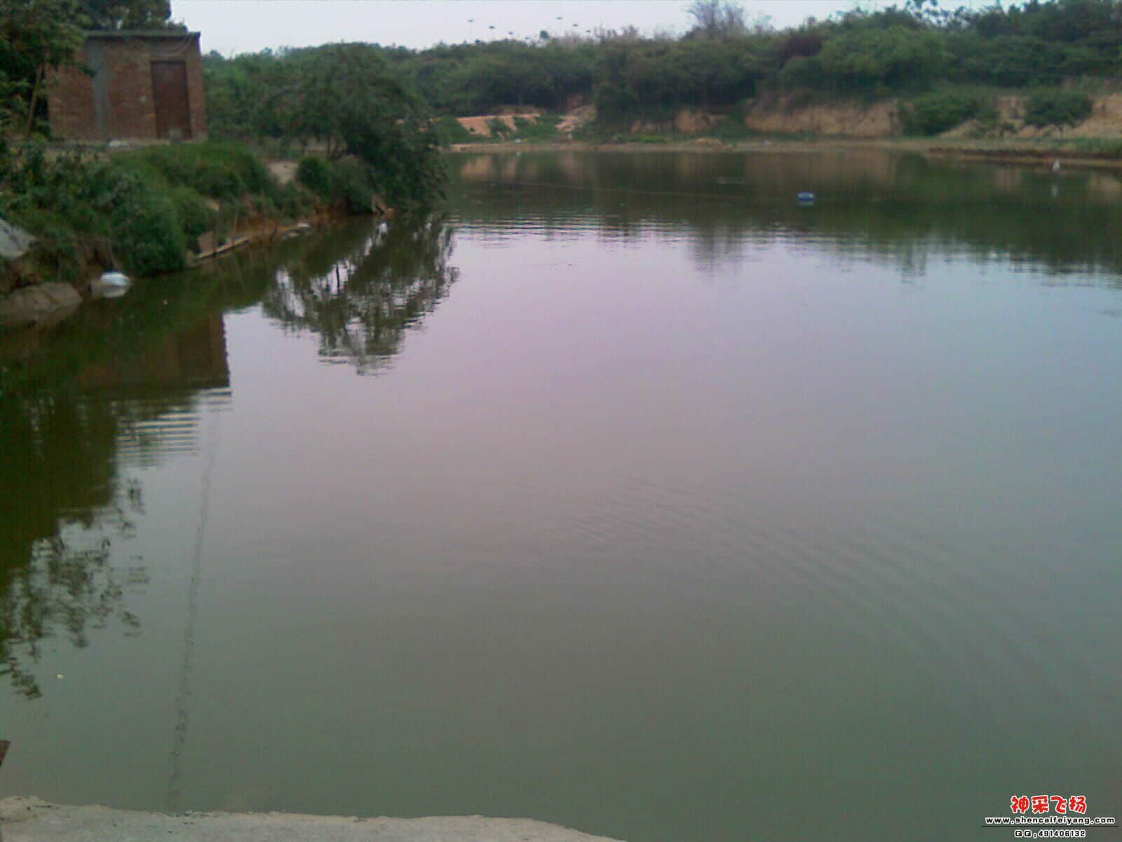IMAG0303.jpg