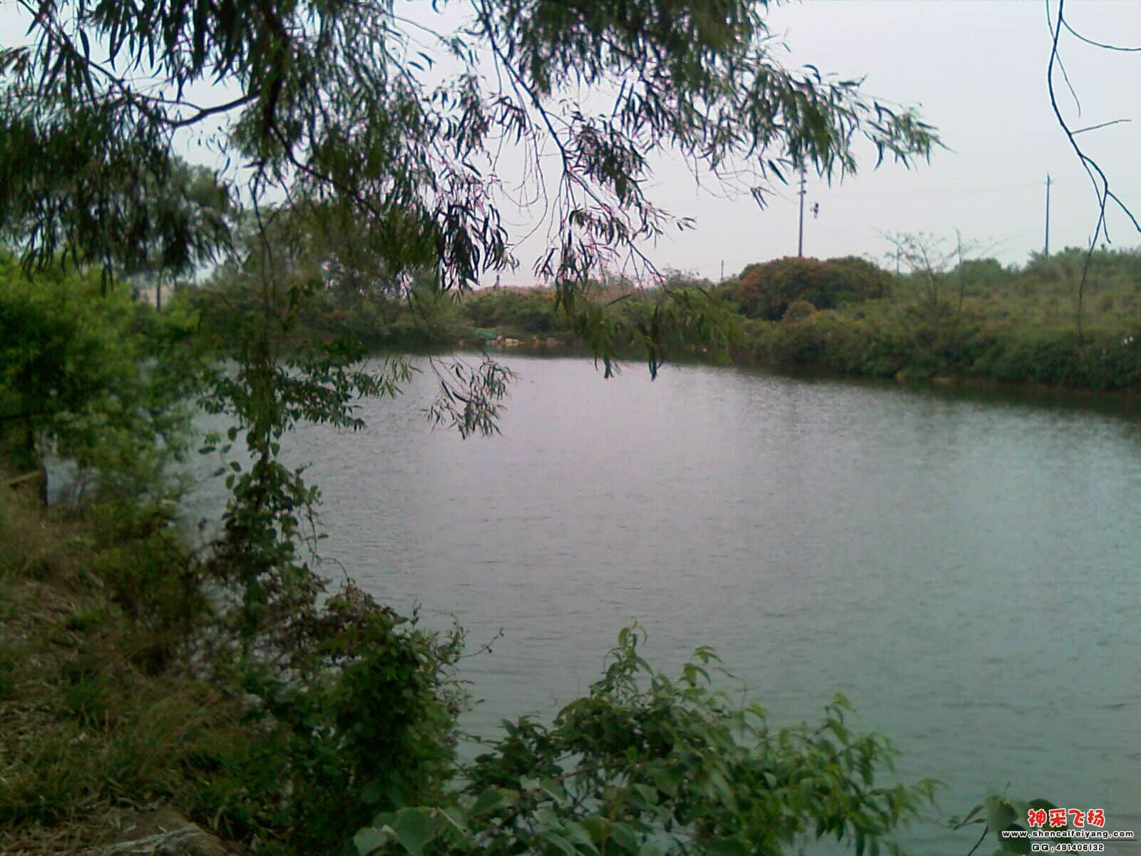 IMAG0312.jpg