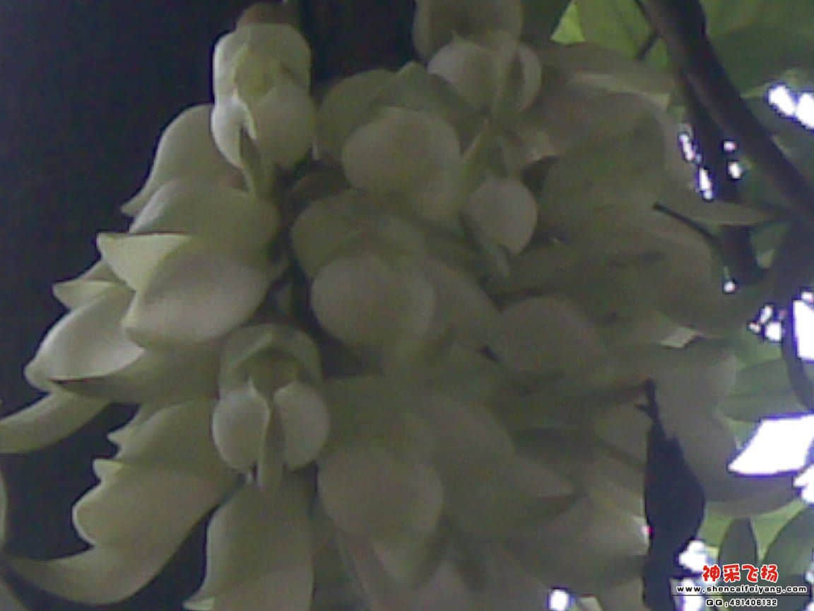 20120407(002).jpg