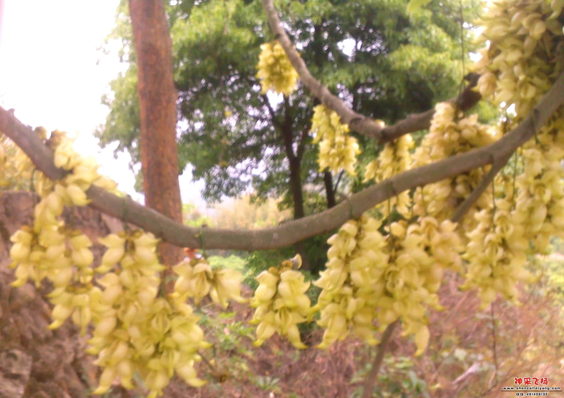 20110409266_副本.jpg