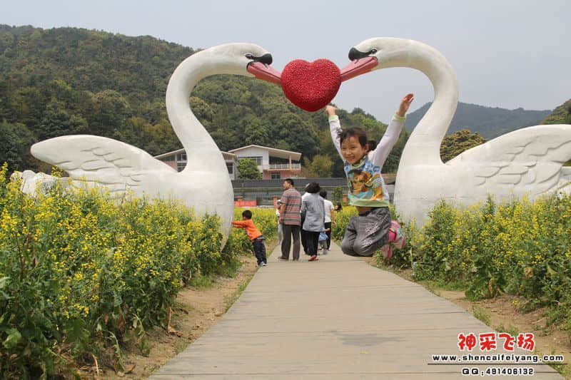 小可爱的大鹏展翅