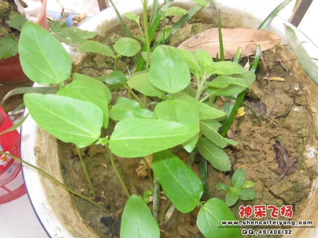 照片.jpg