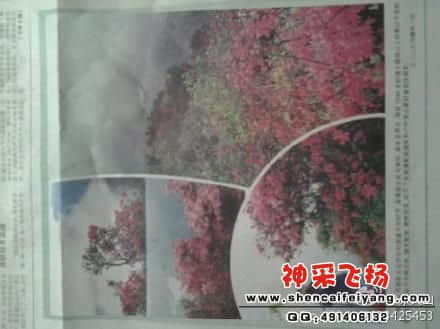 部分版