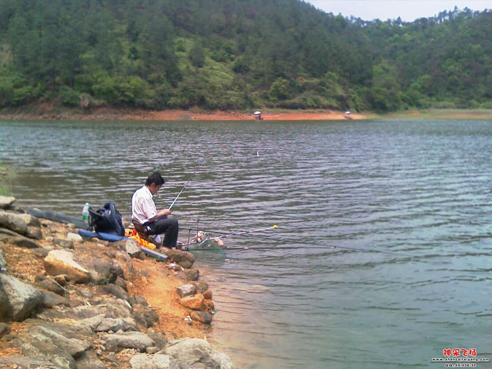 IMAG0321.jpg