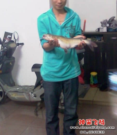 未命名.jpg