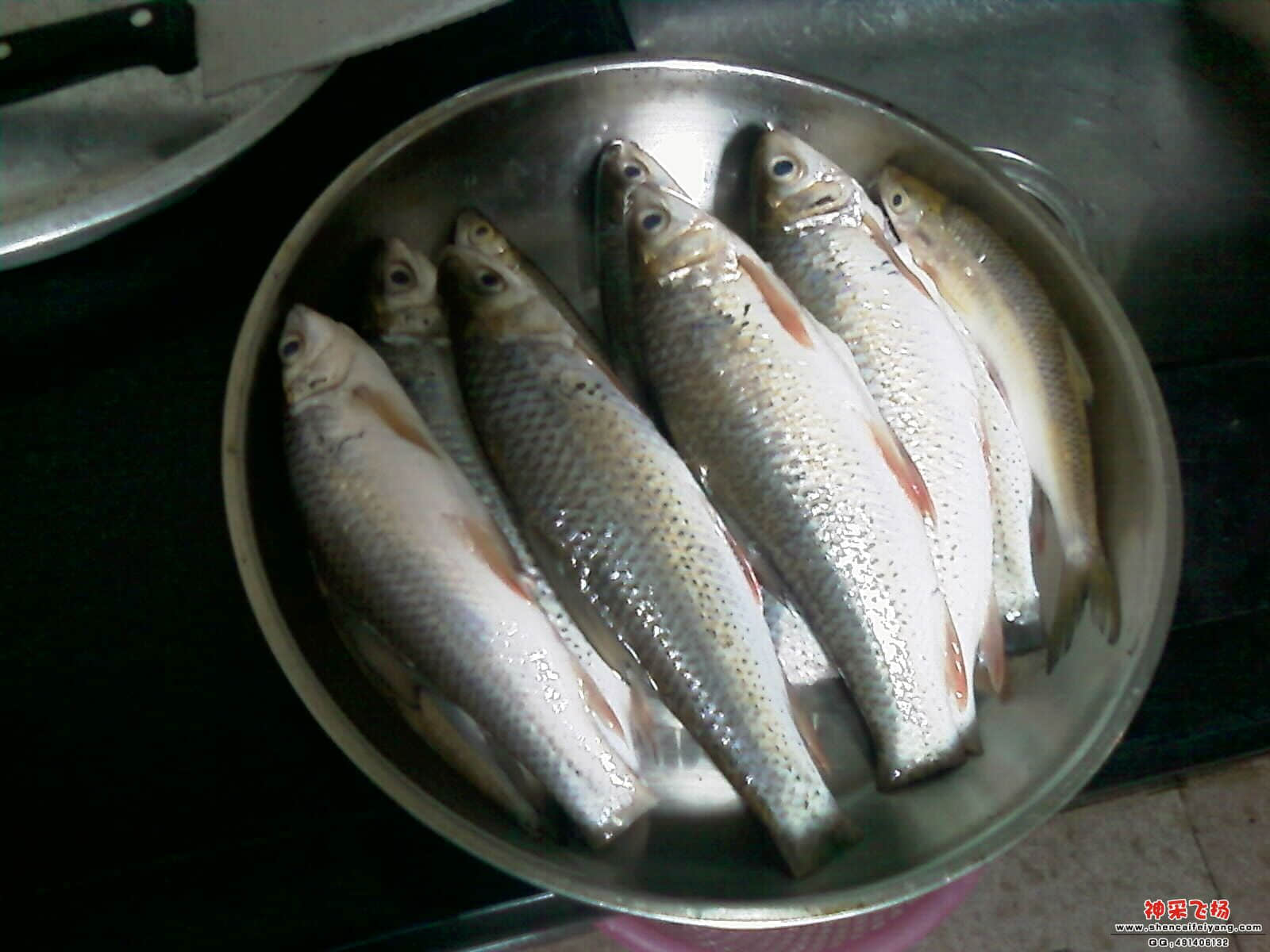 IMAG0326.jpg