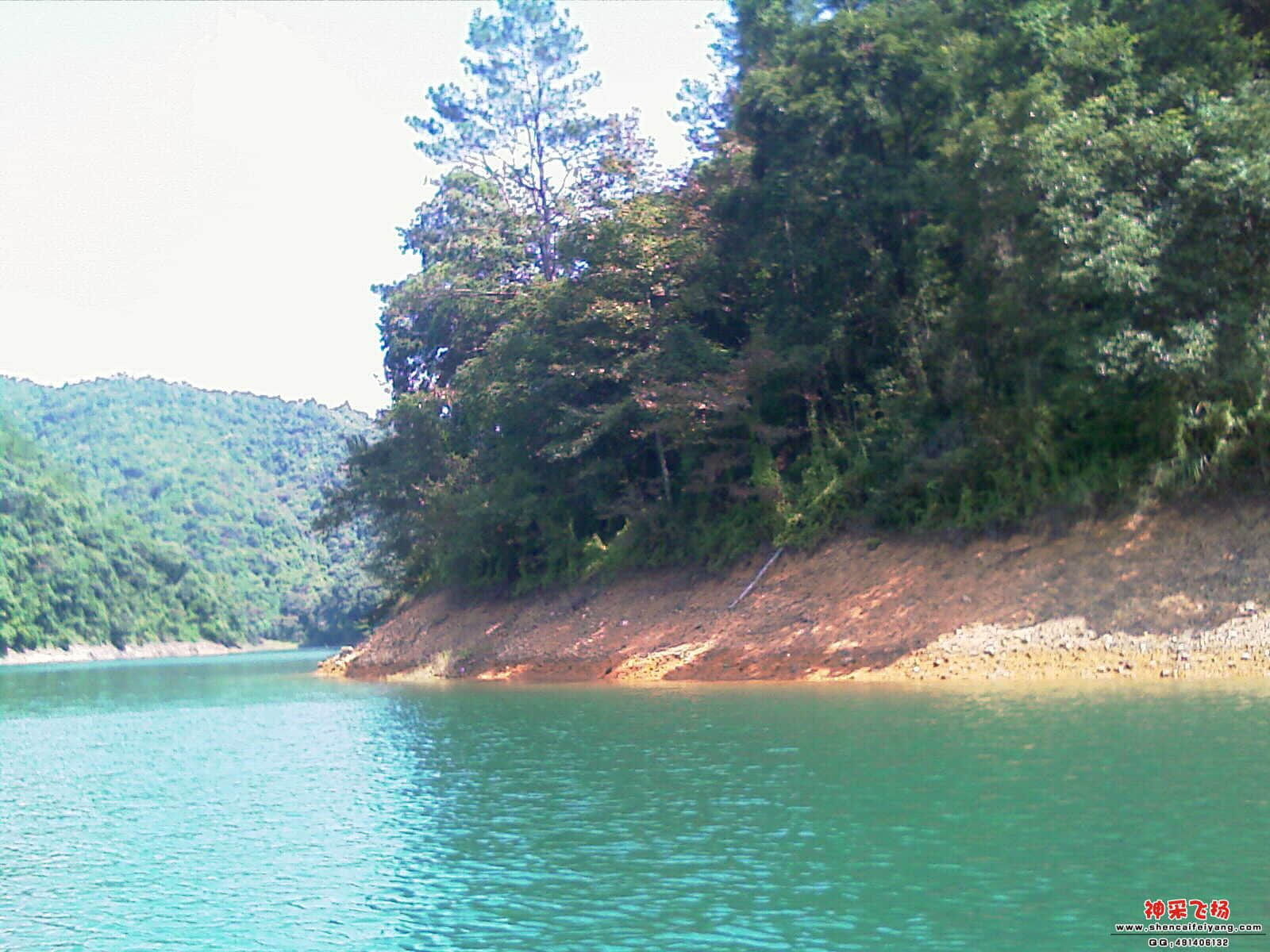 IMAG0186.jpg