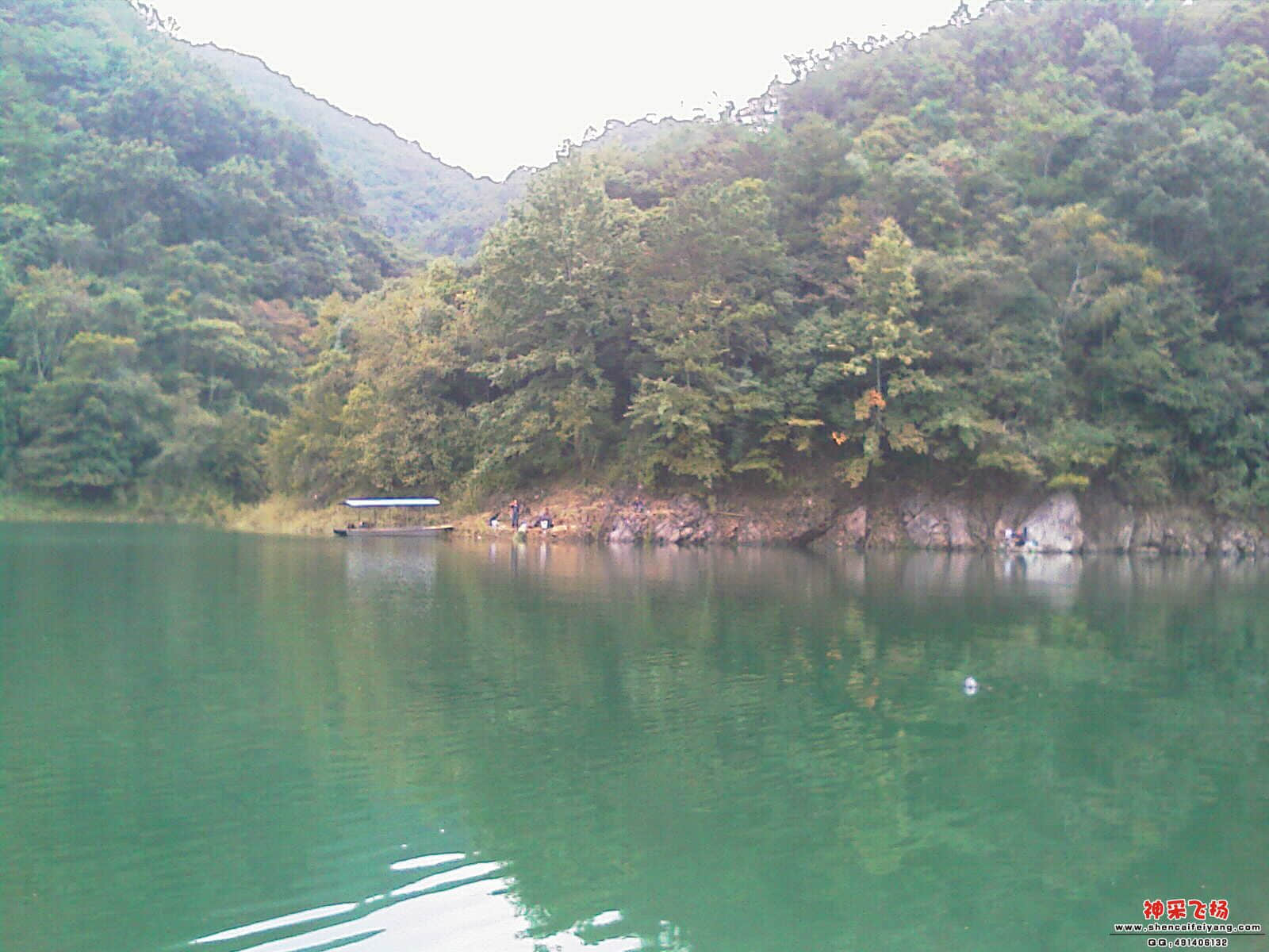 IMAG0192.jpg